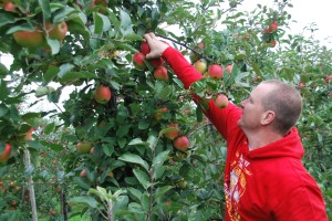 Fruitpluk Jeroen Brouwer 2017.jpg